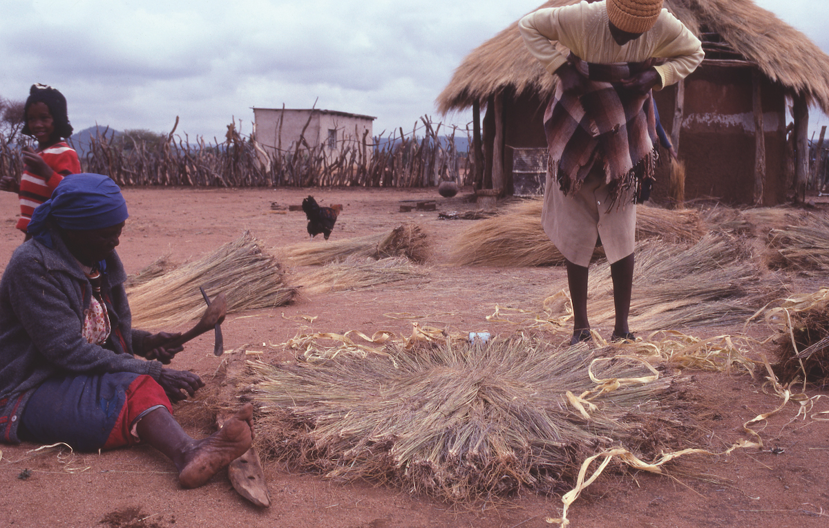 Grassroof Traditional Tswana Housing A Study in Four Villages in